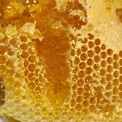 土蜂蜜批发瓶装500g 厂家源头蜂场农家自产百花蜜 成熟结晶蜂蜜图3