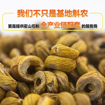 铁皮石斛 霍山铁皮石斛批发 石斛枫斗新鲜五年生仿野生铁皮石斛