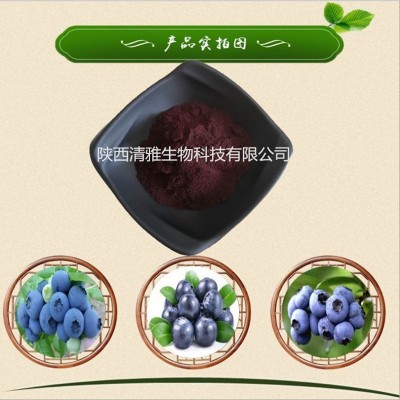 蓝莓花青素 25% 蓝莓/越橘提取物 蓝莓花青素粉 1KG起批 现货供应图2