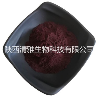 蓝莓花青素 25% 蓝莓/越橘提取物 蓝莓花青素粉 1KG起批 现货供应
