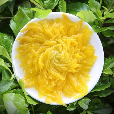 金丝黄菊大菊花一杯一朵单独包装花草茶散装新花金丝皇菊批发图3