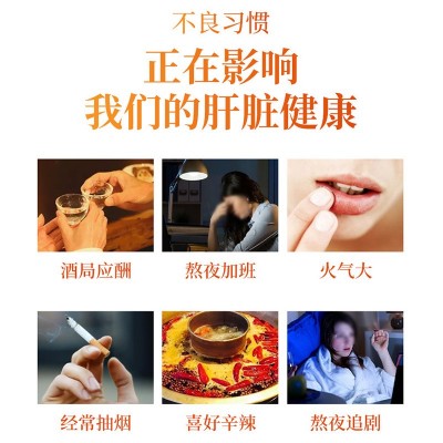 金银花茶 下火名目茶 久坐熬夜代用养生茶盒 枸杞菊花茶一件代发图4