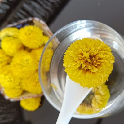 批发婺源皇菊 菊花茶 黄菊花 黄菊 乒乓球菊 球菊花茶图2
