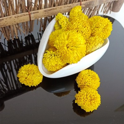 批发婺源皇菊 菊花茶 黄菊花 黄菊 乒乓球菊 球菊花茶图4