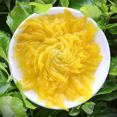 金丝皇菊花茶单朵独立袋装花茶一朵一杯花草茶婺源金丝大黄菊批发图4