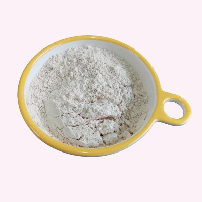 厂家供应食品级大米蛋白 大米蛋白粉 大米蛋白质粉图4