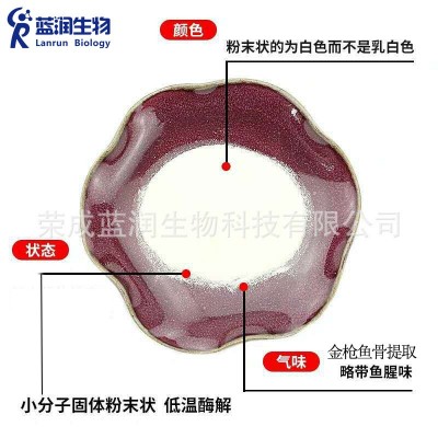 鱼骨胶原蛋白肽粉500g固体饮料 分子量鱼胶原蛋白金枪鱼胶原蛋白图3