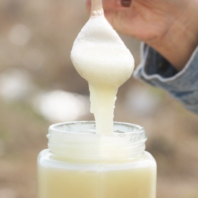 东北黑蜂椴树结晶蜜白蜜500g玻璃瓶装批发蜂蜜散装蜂蜜图3
