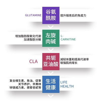 氧气能量乳清蛋白质粉OXYENERGY增健肌粉健身男女5磅芝士桃桃图4