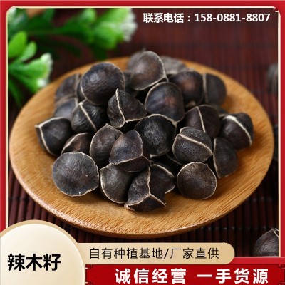 辣木籽厂家直供批发辣木籽袋装新货人工挑选颗粒饱满滋补中药材