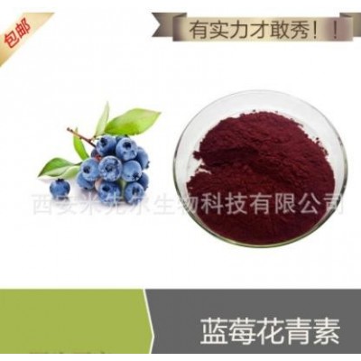 蓝莓花青素25% 蓝莓提取 蓝莓提取物 现货供应 厂家100克一袋装图1