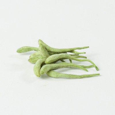 厂家批发供应金银花 花草茶散装金银花茶花茶图3