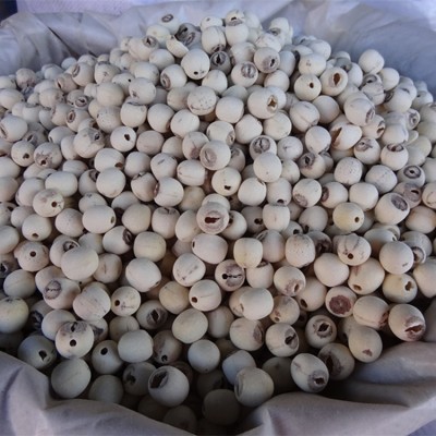 批发莲子 产地直销无芯无硫湘莲子，去芯磨皮莲子图5