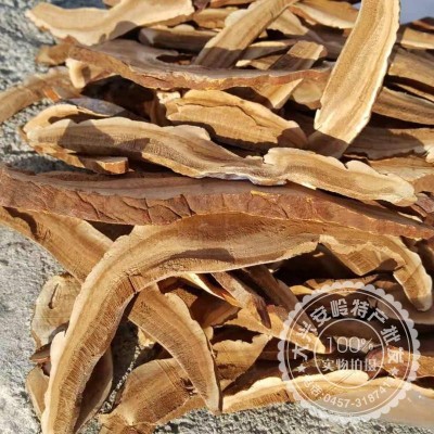 大兴安岭赤灵芝片 整枝灵芝切片500克 自然凉晒新货500克包邮