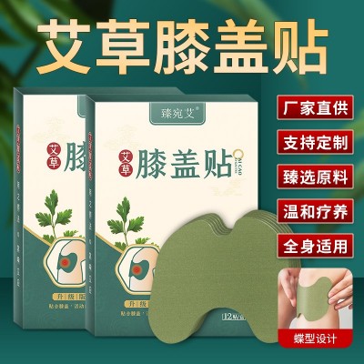 厂家批发臻宛艾艾草膝盖肩周颈椎发热穴位腰椎生姜热敷艾灸贴代发