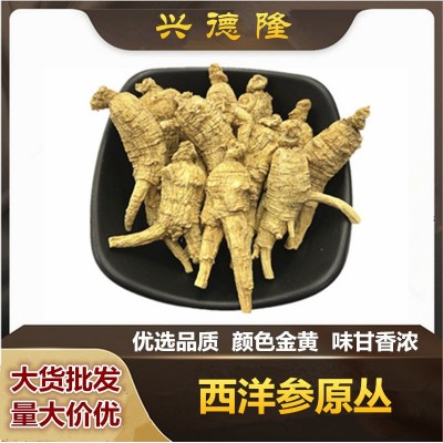 加拿大西洋参原丛 短枝参段花旗参原株粒头整枝可代切片雄春老店