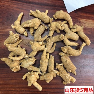 加拿大西洋参原丛 短枝参段花旗参原株粒头整枝可代切片雄春老店图5