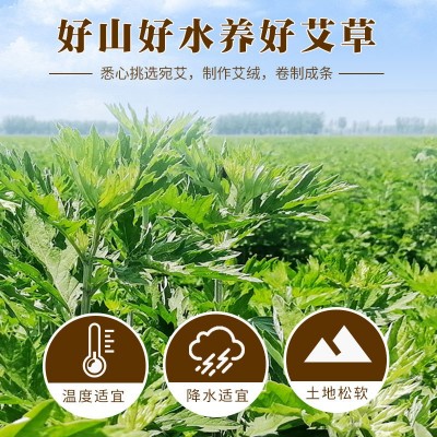 散装30;1艾条 五年陈艾灸条 手作艾草条艾绒艾柱 厂家批发现做图2
