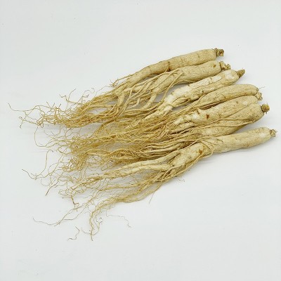 厂家批发长白山干人参生晒参 东北人参整支白参泡酒煲汤量大从优