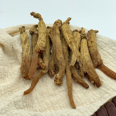 长白山人参红参棒光肢 东北特产自然风干人参煲汤泡酒现货批发