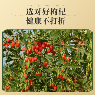 厂家批发 枸杞子罐装150g宁夏特产红枸杞茶OEM贴牌定制一件代发图2