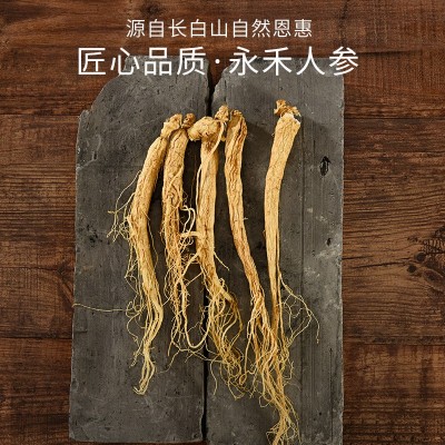 【永禾堂】OEM正宗长白山人参干参礼盒装精品3支送礼泡酒图2
