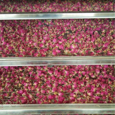 厂家批发新货头茬山东平阴玫瑰 低温烘干食用重瓣玫瑰干玫瑰花茶图3