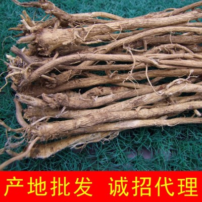 供应野生黄芪产地批发东北黄芪2斤起 原株品质长白山北芪双向调节图2
