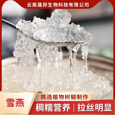 云南特产拉丝雪燕 女性滋补植物燕窝1斤雪燕桃胶皂角米伴侣