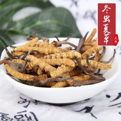 新货批发虫草那曲冬虫夏草4条/克足干 代发满10克送礼盒