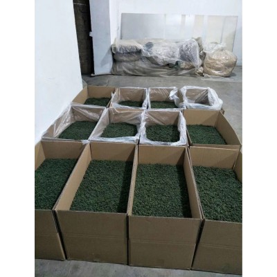 人参花干品 西洋参花 花旗参花茶 长白山人参鲜花茶 吉林人参花茶图5