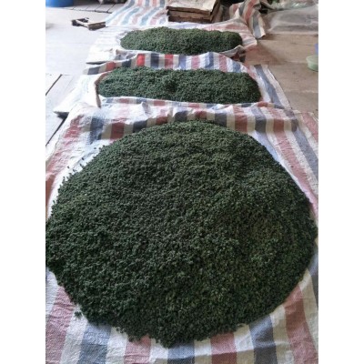 人参花干品 西洋参花 花旗参花茶 长白山人参鲜花茶 吉林人参花茶图3