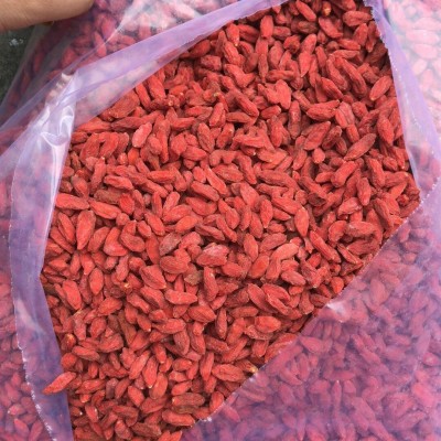 枸杞 精选250粒大颗粒500g良心卖家 味甜干爽枸杞批发2022年新货