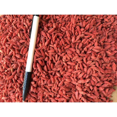 宁夏枸杞500g 干吃免洗枸杞食品 枸杞小颗粒散装厂家批发2021新货图3
