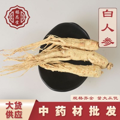 中药材批发白人参零售新货不硫初级农产品产地货源量大从优可代发