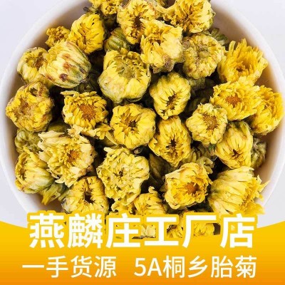 菊花茶 桐乡胎菊王正宗特级杭白菊500g花茶批发 新花菊花草茶叶图3