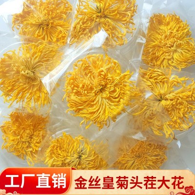 菊花茶黄山金丝皇菊新茶批发头茬大朵独立袋装一朵一杯黄菊茶叶