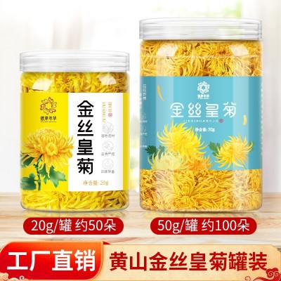 金丝皇菊新花一朵一杯罐装大黄菊花茶金丝黄菊茶叶产地批发黄山