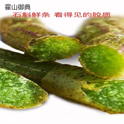 石斛 石斛盆景 石斛木桩 石斛盆栽 石斛花 铁皮石斛盆栽 石斛花盆图5