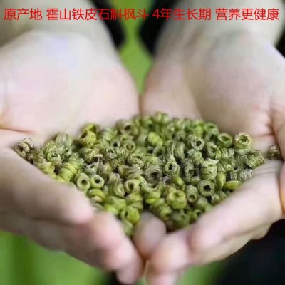 霍山铁皮石斛枫斗 四年生安徽铁皮石斛 霍山米斛石斛花石斛粉散装图5