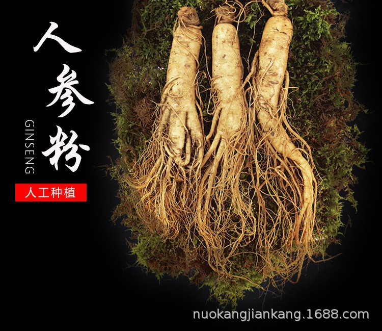 人参牡蛎片