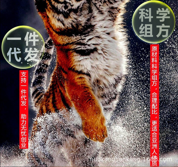 人参黄精片