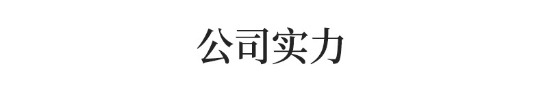 公司实力标签