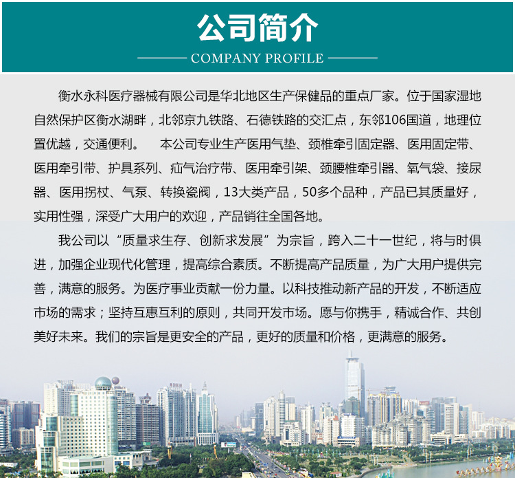 6公司简介