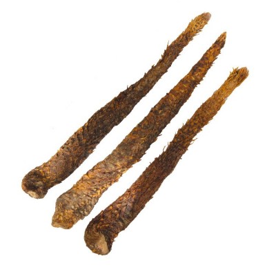 肉苁蓉 内蒙阿拉善特产 锁阳中药材 甜软大芸500克非管花可切片图5