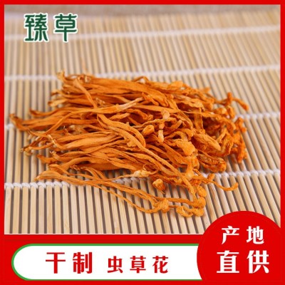 东北干货金虫草虫草花北虫草蛹虫草中条孢子头基地供应三公斤起批图4