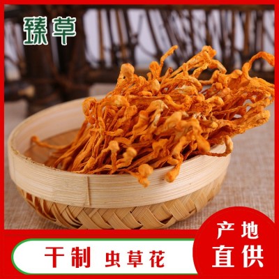 东北干货金虫草虫草花北虫草蛹虫草中条孢子头基地供应三公斤起批图3