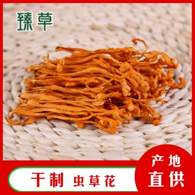 东北干货金虫草虫草花北虫草蛹虫草中条孢子头基地供应三公斤起批图5