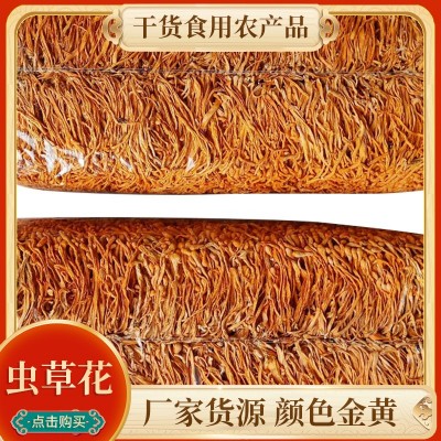 农产品食用花内蒙蛹虫草子3斤包装可烹调烹饪煲粥炒菜散装虫草花图1