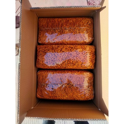 农产品食用花内蒙蛹虫草子3斤包装可烹调烹饪煲粥炒菜散装虫草花图4